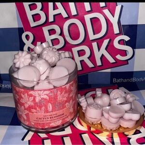 Bath and body works cactus Blossom candle wax melts